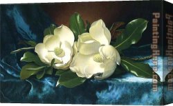 Lady Plays The Blues Canvas Paintings - Magnolias on a Blue Velvet Cloth by Martin Johnson Heade