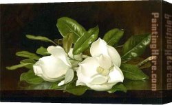 Pears And Grapes on a Table Canvas Paintings - Magnolias on a Wooden Table by Martin Johnson Heade
