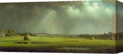 A Goat in a Meadow Canvas Paintings - Newburyport Meadows by Martin Johnson Heade