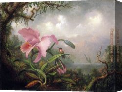 Orchids Canvas Paintings - Orchid and Hummingbird by Martin Johnson Heade
