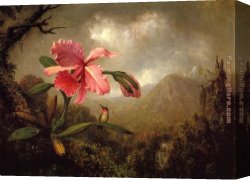 Waterfall Canvas Paintings - Orchid and Hummingbird near a Mountain Waterfall by Martin Johnson Heade
