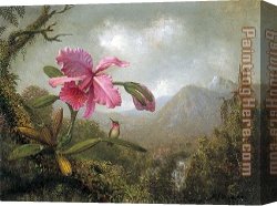 Martin Johnson Heade Canvas Paintings - Orchid and Hummingbird near Mountain Waterfall by Martin Johnson Heade