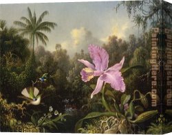 Orchids Canvas Paintings - Orchid and Two Hummingbirds by Martin Johnson Heade