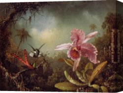 Martin Johnson Heade Canvas Paintings - Orchid with Two Hummingbirds by Martin Johnson Heade