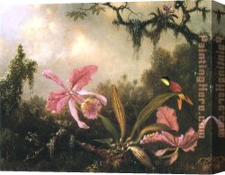 Orchids Canvas Paintings - Orchids and Crimson Topaz Hummingbird by Martin Johnson Heade