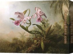 Orchids Canvas Paintings - Orchids and Hummingbird 1875 by Martin Johnson Heade