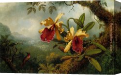 Martin Johnson Heade Canvas Paintings - Orchids and Hummingbird by Martin Johnson Heade