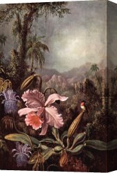 Passion Canvas Paintings - Orchids passion flower and hummingbirds by Martin Johnson Heade