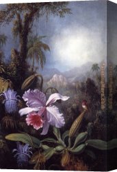 Passion Canvas Paintings - Orchids, Passion Flowers and Hummingbird by Martin Johnson Heade
