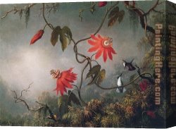 Passion Canvas Paintings - Passion Flowers and Hummingbirds by Martin Johnson Heade
