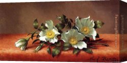 Cherokee Roses on a Light Gray Cloth Canvas Paintings - The Cherokee Rose by Martin Johnson Heade
