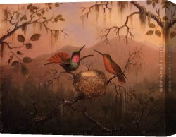 Nest Canvas Paintings - Two Hummingbirds at a Nest by Martin Johnson Heade