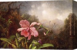 Orchids Canvas Paintings - Two Hummingbirds by an Orchid by Martin Johnson Heade