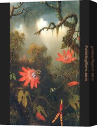 Passion Canvas Paintings - Two Hummingbirds Perched on Passion Flower Vines by Martin Johnson Heade