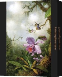 Martin Johnson Heade Canvas Paintings - Two Hummingbirds with a Pink Orchid by Martin Johnson Heade