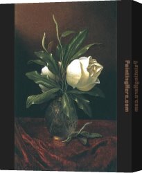 Glass Canvas Paintings - Two Magnolia Blossoms in a Glass Vase by Martin Johnson Heade