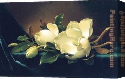 Martin Johnson Heade Canvas Paintings - Two Magnolias and a Bud on Teal Velvet by Martin Johnson Heade
