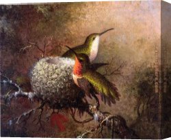 Nest Canvas Paintings - Two Ruby Throats by their Nest by Martin Johnson Heade