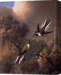 Fun in The Sun VIII Canvas Paintings - Two Sun Gems on a Branch by Martin Johnson Heade