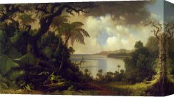A View of The Forum Canvas Paintings - View from Fern Tree Walk, Jamaica by Martin Johnson Heade