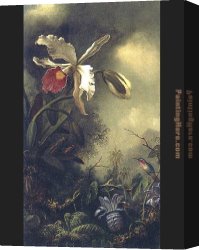 Orchids Canvas Paintings - White Orchid and Hummingbird by Martin Johnson Heade