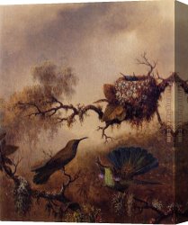 Violets Canvas Paintings - White-Vented Violet-Eared by Martin Johnson Heade