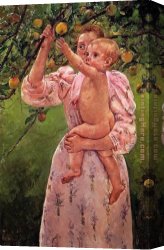 Apple Canvas Paintings - Baby Reaching For An Apple Aka Child Picking Fruit by Mary Cassatt