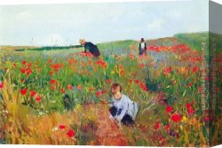 Mary Canvas Paintings - Poppies by Mary Cassatt
