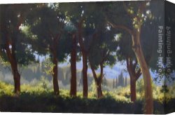 Maureen Canvas Paintings - Through the Trees by Maureen Hyde