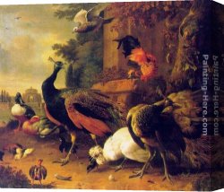 Melchior Broederlam Canvas Paintings - Birds in a Park by Melchior de Hondecoeter
