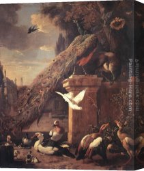 Melchior Broederlam Canvas Paintings - Peacocks and Ducks by Melchior de Hondecoeter