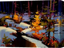 Dreamy Creek II Canvas Paintings - Cariboo Creek Near Clinton by Michael O'Toole