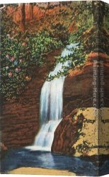 North Star Canvas Paintings - Bridal Veil Falls, Linville, North Carolina by Norman Parkinson