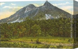 Prospecting for Cattle Range Canvas Paintings - Grandfather Mountain, Blue Range, Tennessee by Norman Parkinson