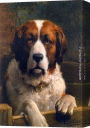 Otto Canvas Paintings - A St. Bernard Dog by Otto Eerelman