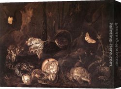 Otto Canvas Paintings - Still-Life with Insects and Amphibians by Otto Marseus Van Schrieck