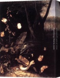 Otto Canvas Paintings - Still-life with Plants and Reptiles by Otto Marseus Van Schrieck