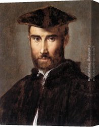 Portrait of an Old Man Canvas Paintings - Portrait of a Man by Parmigianino