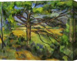 Paul Cezanne Canvas Paintings - Pine Tree near Aix by Paul Cezanne