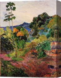 Tropical Forest with Monkeys Canvas Paintings - Tropical Vegetation by Paul Gauguin