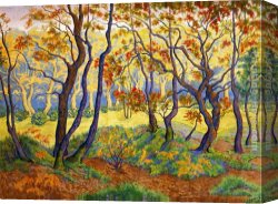 Tropical Forest with Monkeys Canvas Paintings - Edge of the Forest by Paul Ranson