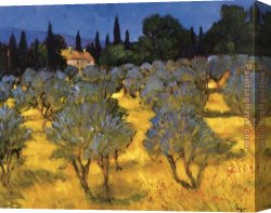 Les Iris Jaunes 1824 Canvas Paintings - Les Olives en Printemps (The Olives in Spring) by Philip Craig