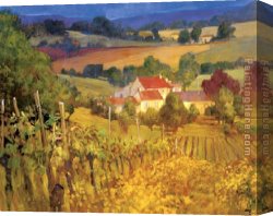 Hills of Tuscany I Canvas Paintings - Vineyard Hill by Philip Craig