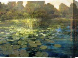 Philip Canvas Paintings - Waterlilies by Philip Craig