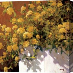 Yellow Canvas Paintings - Yellow Geraniums by Philip Craig