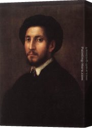 Francesco Canvas Paintings - Portrait of a Man by Pier Francesco Di Jacopo Foschi