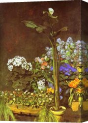 Renoir Canvas Paintings - Arum and Conservatory Plants by Pierre Auguste Renoir
