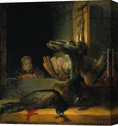 Dead Canvas Paintings - Dead peacocks by Rembrandt