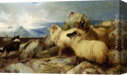 Ansdell Canvas Paintings - Herding the Flock by Richard Ansdell