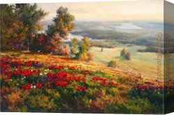 A View of The Forum Canvas Paintings - Valley View I by Roberto Lombardi